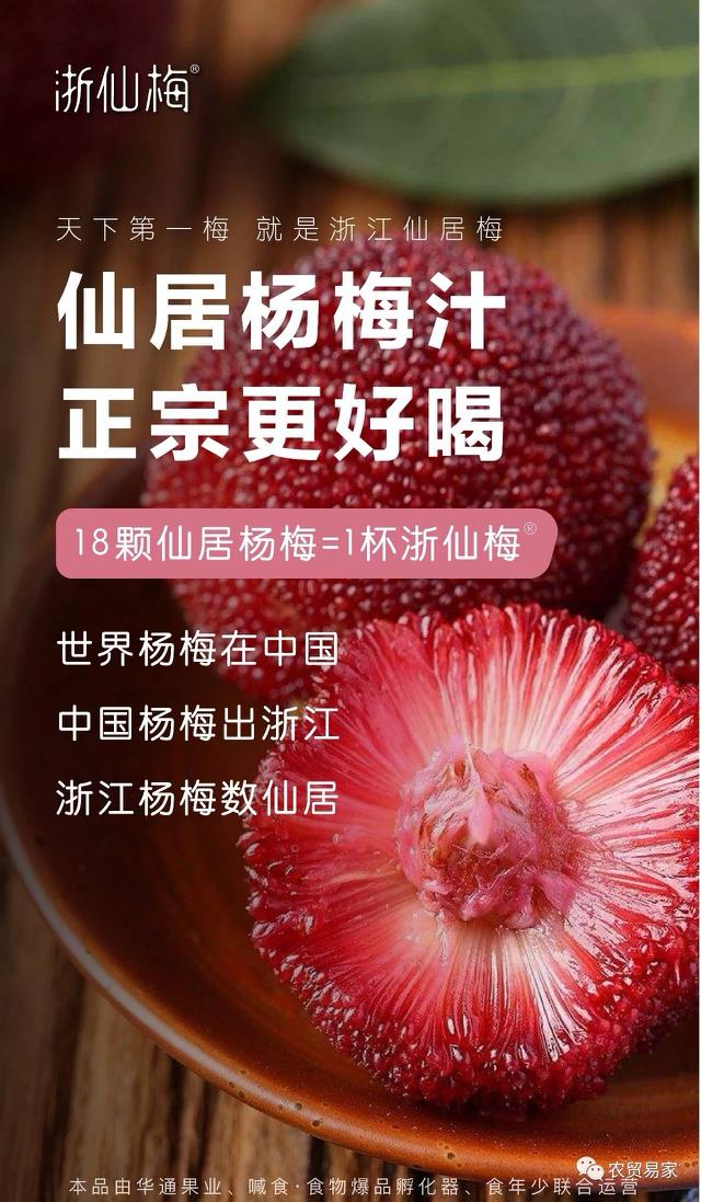 夏日冰爽浙仙梅杨梅汁